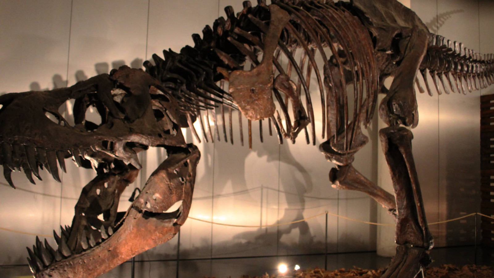 El Museo